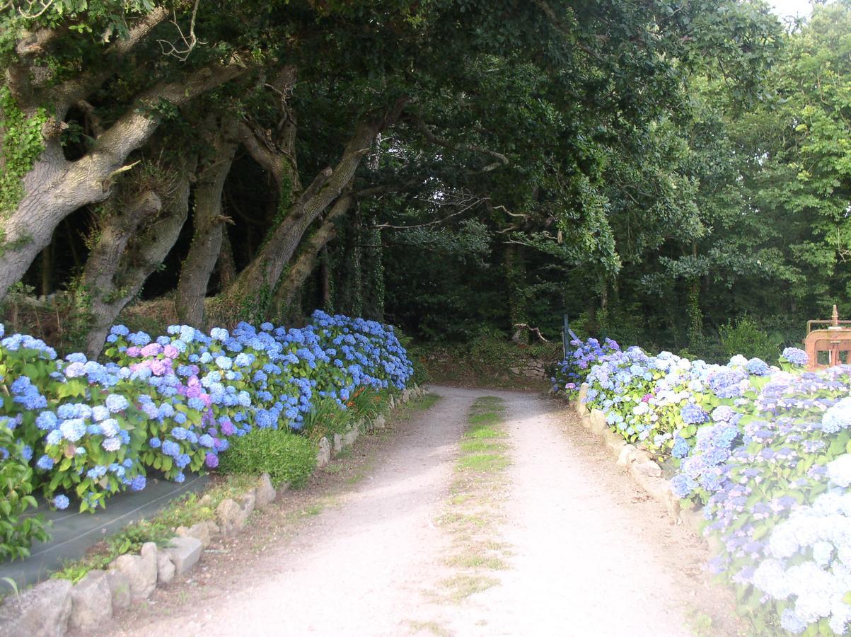 Auberge De Bel Air Brélès Dış mekan fotoğraf